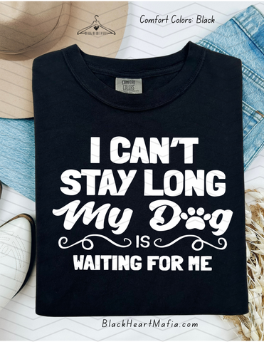 My Dog Is Waiting For Me