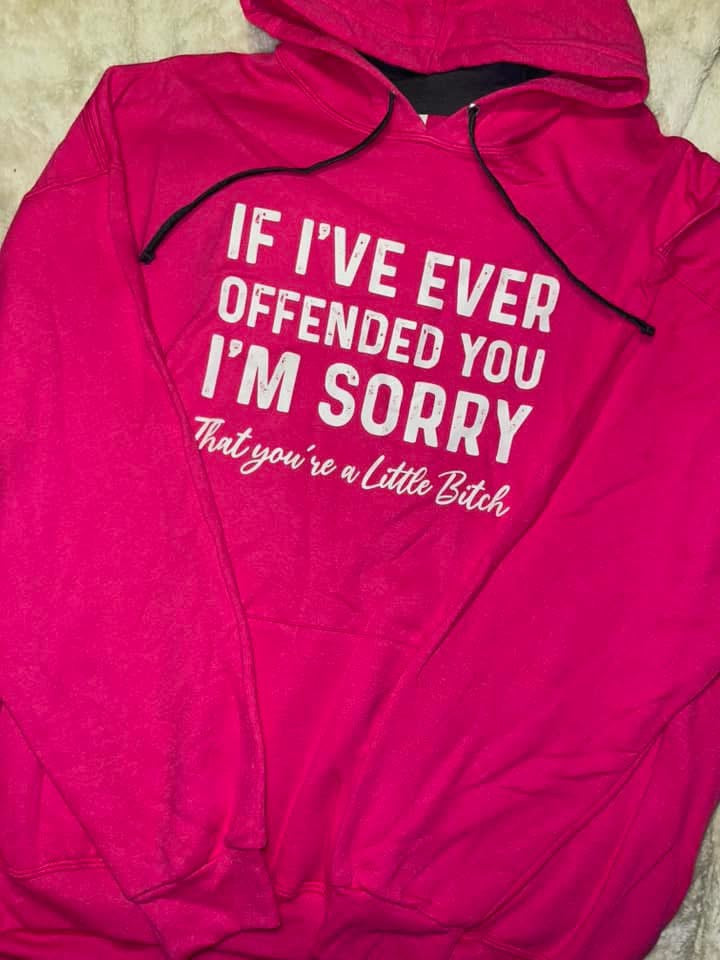 If I Ever Offended You