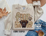 Fur Mom (80+ breeds)