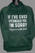 If I Ever Offended You