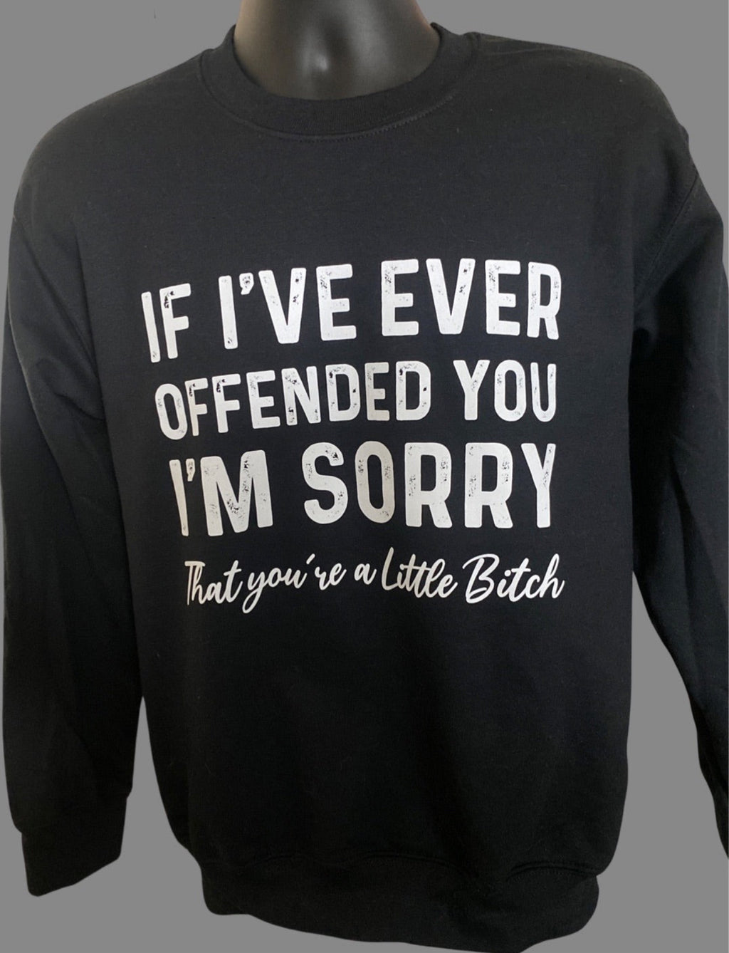 If I Ever Offended You
