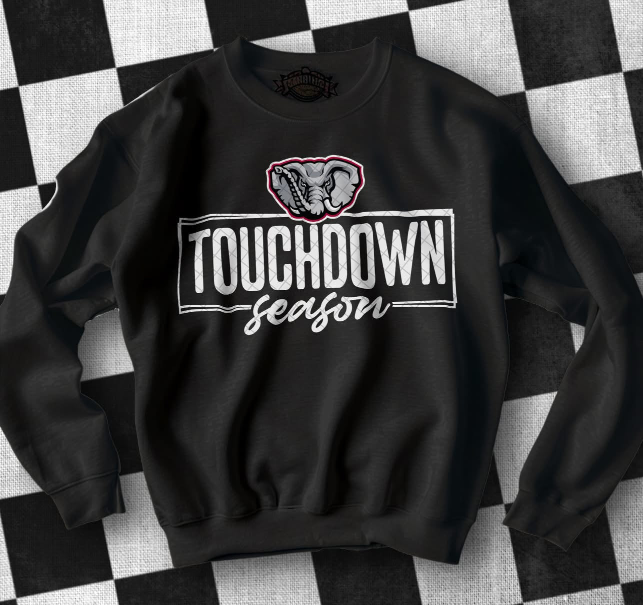 College Touchdown Season