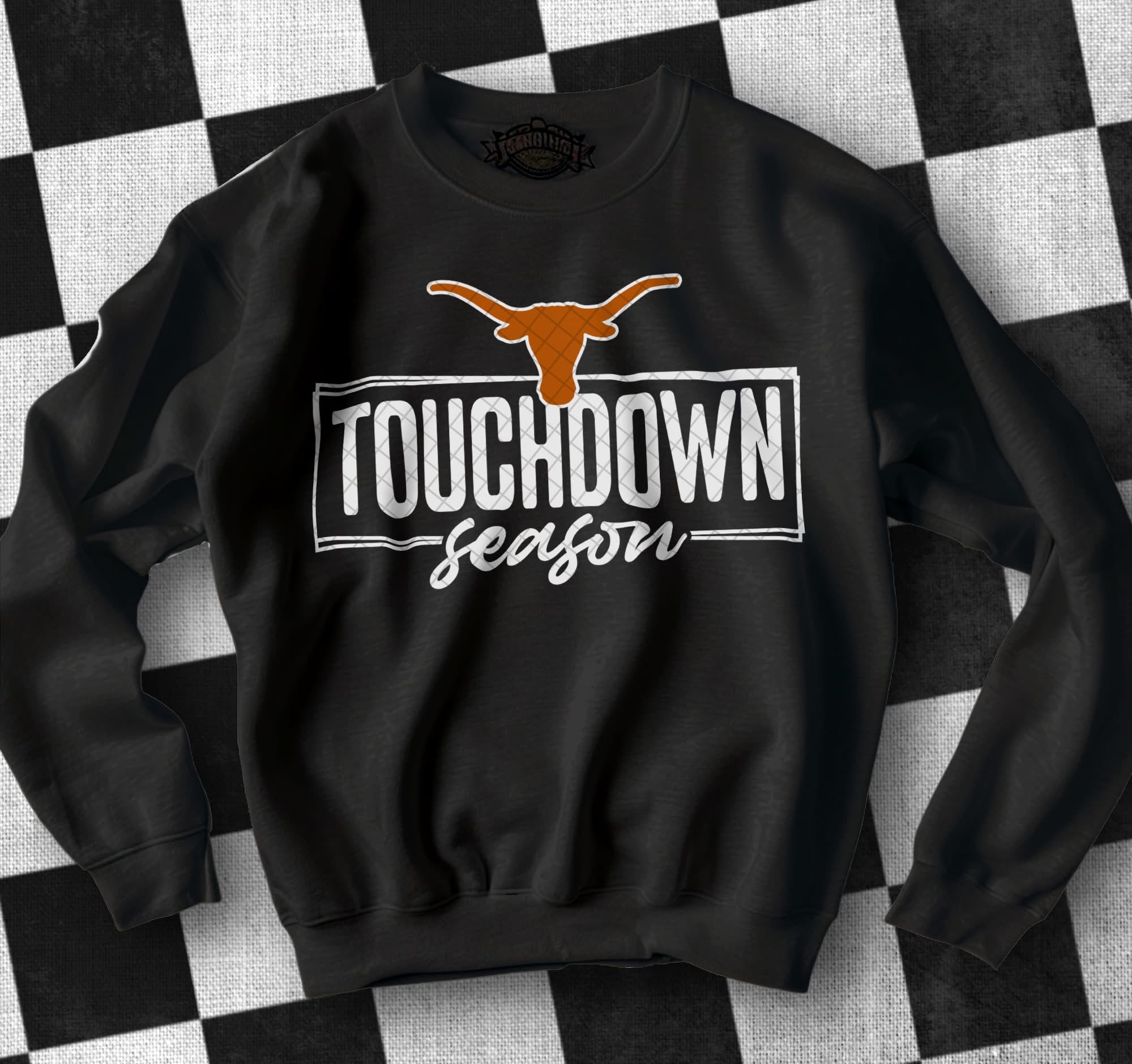 College Touchdown Season